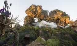 Featured image of post Enfin des photos d'Avatar Land à Disney's Animal Kingdom !