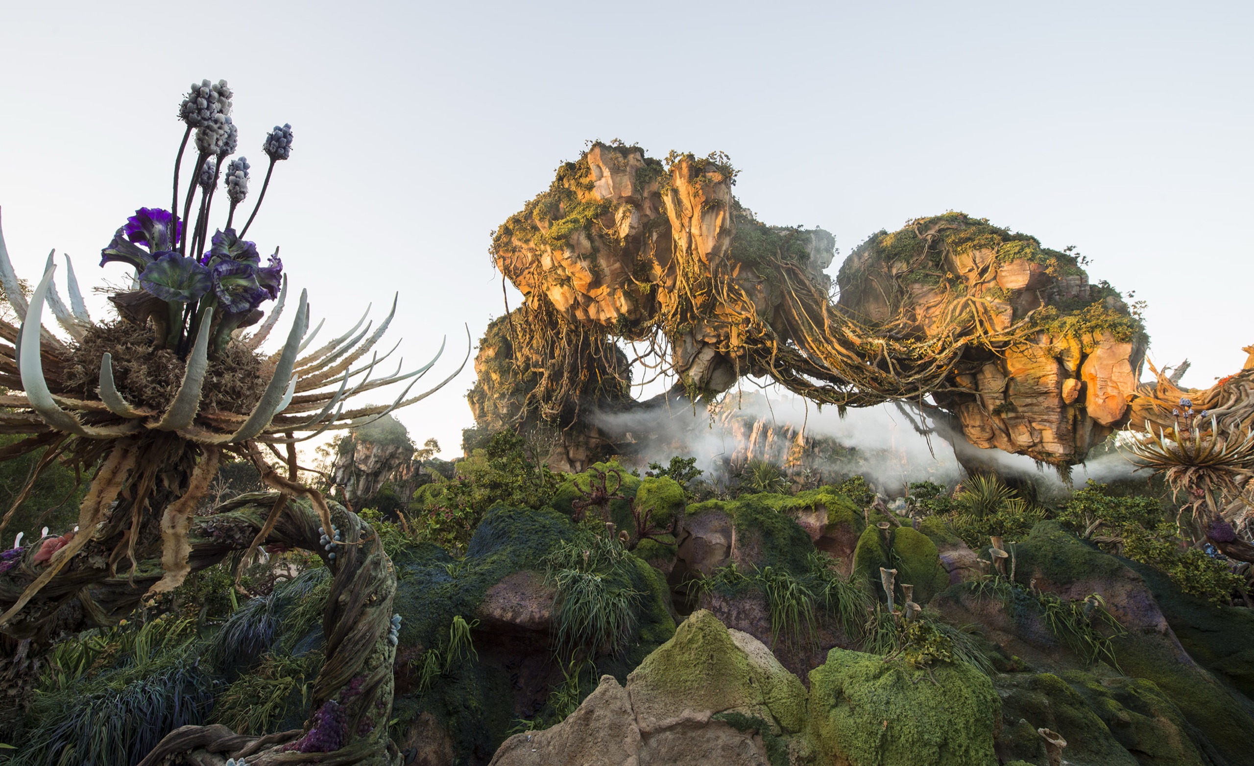 Featured image of post Enfin des photos d'Avatar Land à Disney's Animal Kingdom !