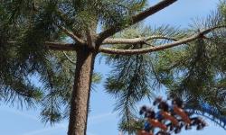 Featured image of post Inauguration de Fēnix et sa zone