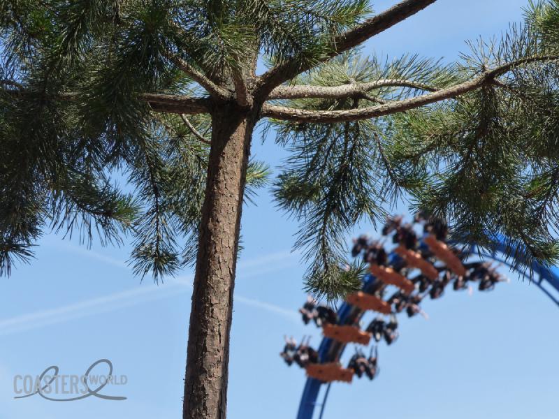 Featured image of post Inauguration de Fēnix et sa zone