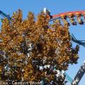 Dragon Challenge ferme définitivement à Islands of Adventure  !