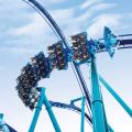 Groupe SeaWorld : les explications d'une dégringolade
