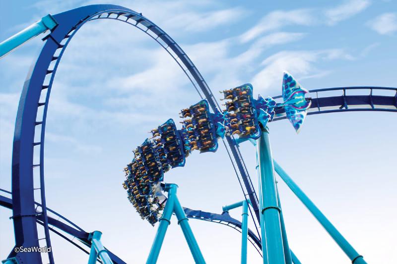 Featured image of post Groupe SeaWorld : les explications d'une dégringolade