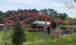 Featured image of post Interview de Mathieu Chevalier, Directeur du Parc des Combes