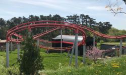 Featured image of post Interview de Mathieu Chevalier, Directeur du Parc des Combes