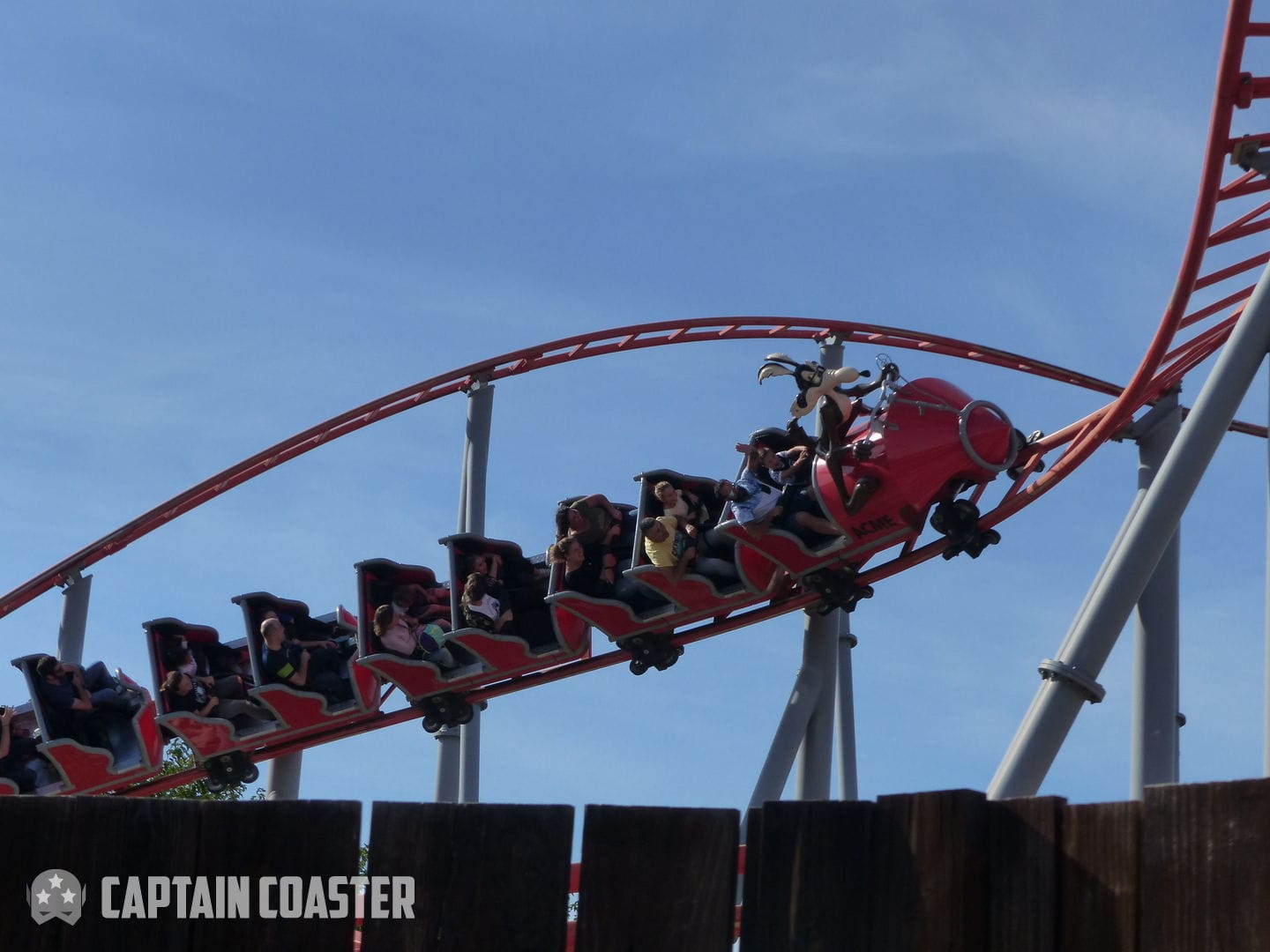 Correcaminos Bip Bip - Modèle Young Star - Parque Warner Madrid