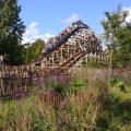 RMC, ou l’apparition d’un nouveau genre