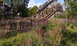 Featured image of post RMC, ou l’apparition d’un nouveau genre