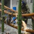 Visite de Stakotra – La maternité des coasters